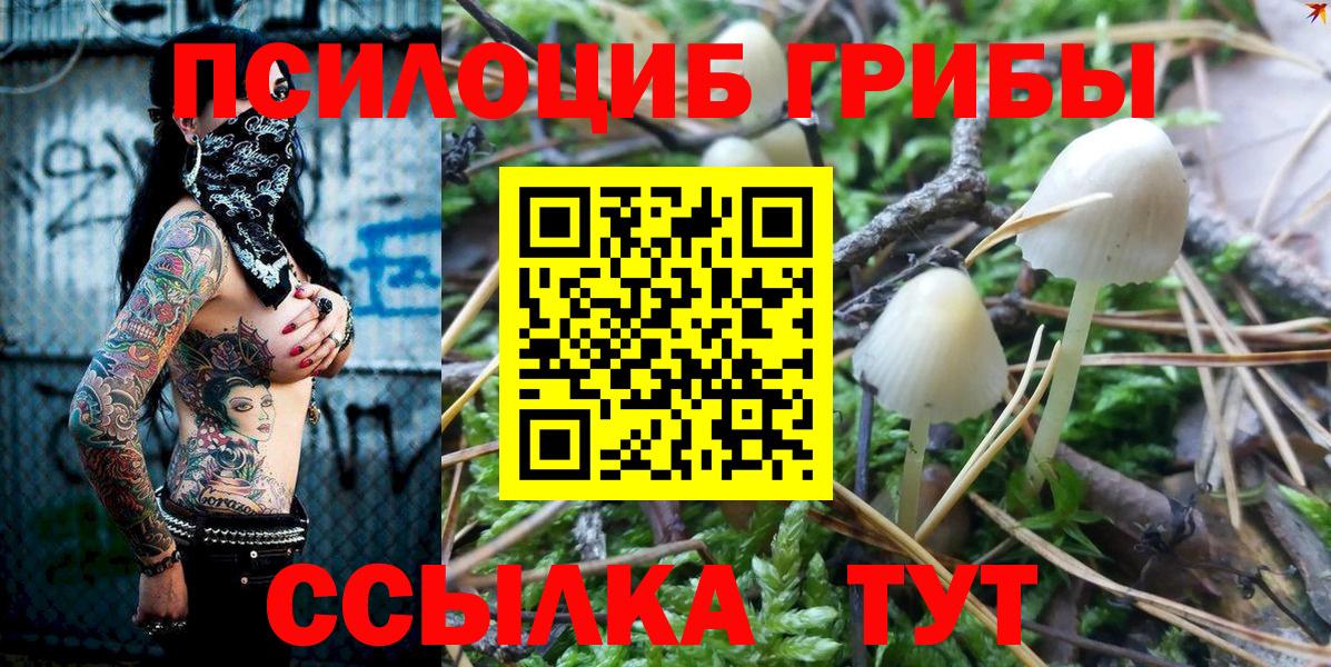 Галлюциногенные грибы Psilocybine cubensis Всеволожск