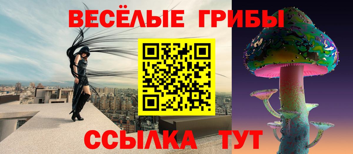 Псилоцибиновые грибы мицелий  Псилоцибиновые грибы MAGIC MUSHROOMS  Всеволожск  Вход с VPN 